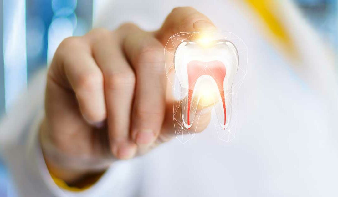 Guaranteed Quality and Assured Results: XDental’s Commitment to Customer Satisfaction